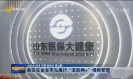 山东卫视新闻爆料电话,揭秘幕后故事，倾听民声心声